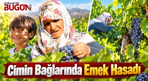 Benzer Haber