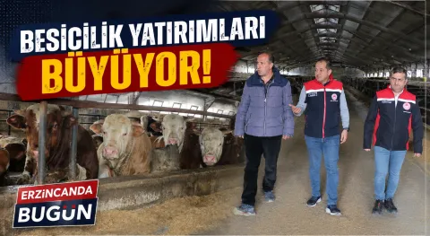 Haber Resmi