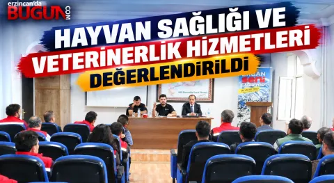 Haber Resmi