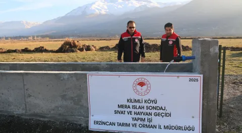 Haber Resmi
