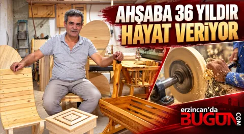 Benzer Haber
