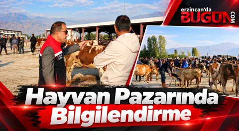 Benzer Haber