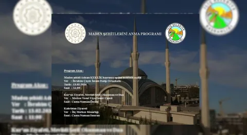 Haber Resmi
