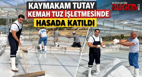 Benzer Haber