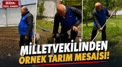 Haber Resmi