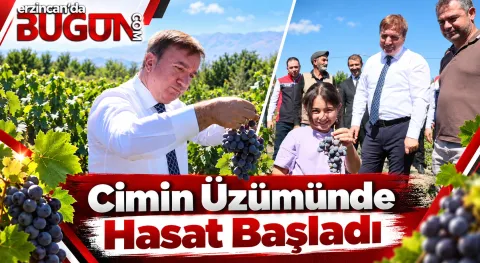 Benzer Haber