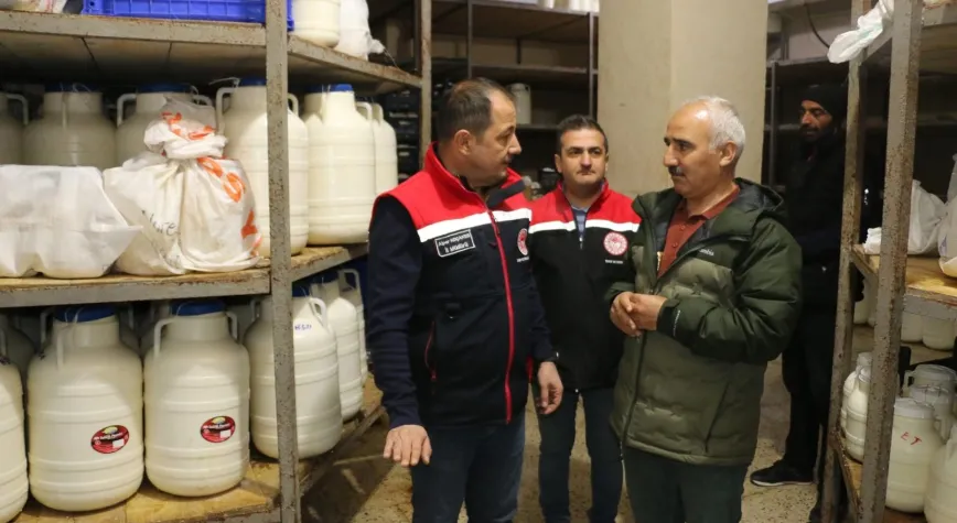 750 Binlik Güç Ekonomiye Dönüşüyor: Erzincan Tulumunda Büyük Atılım