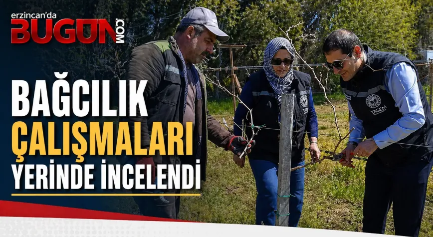 BAHÇELİKÖY YERLEŞKESİ’NDE BAĞCILIK ÇALIŞMALARI YERİNDE İNCELENDİ