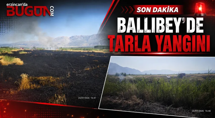 Ballıbey Köyü’nde Buğday Tarlasında Yangın