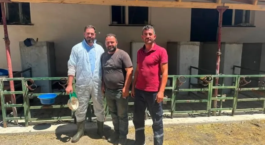Damızlık Sığır Yetiştiricileri Birliği'nden Köylerde Tırnak Bakımı Çalışması