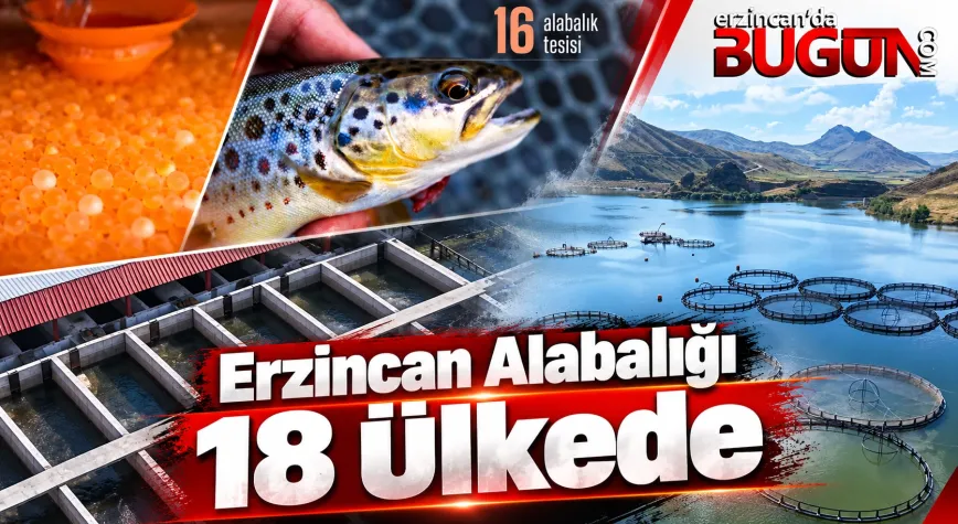 Erzincan Alabalığı 18 Ülkenin Sofrasına Ulaşıyor