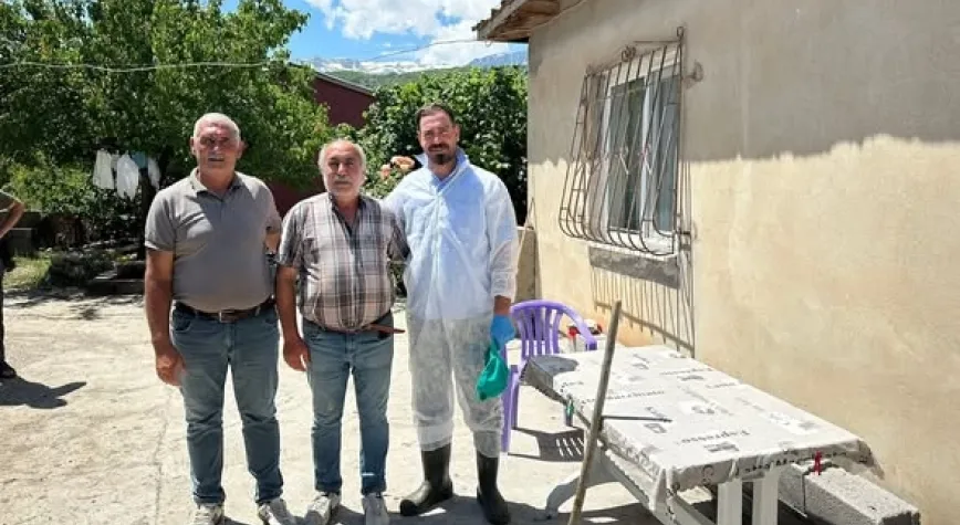 Erzincan Damızlık Sığır Yetiştiricileri Birliği’nden Sahada Tırnak Bakımı Hizmeti