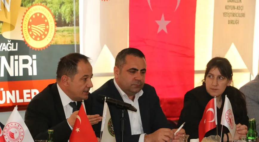 Erzincan Tulum Peyniri İçin Ortak Hamle: Coğrafi İşaretli Üretim Artıyor