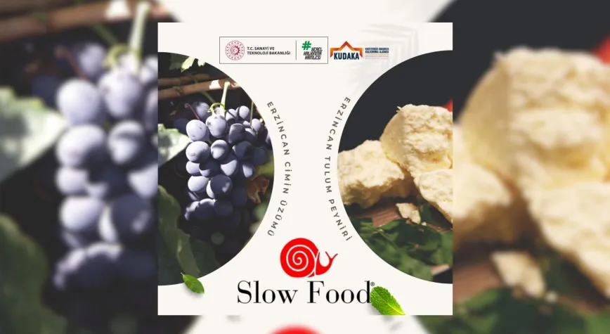 Erzincan Tulum Peyniri ve Cimin Üzümü “Ark of Taste” Listesine Girdi