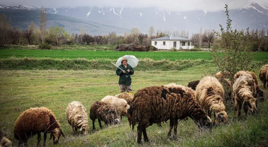 Erzincan’da Bahar Doğayı Canlandırdı: Kent Kartpostallık Görünüme Büründü