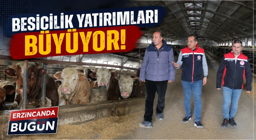 Erzincan’da Besicilik Yatırımları Güçleniyor