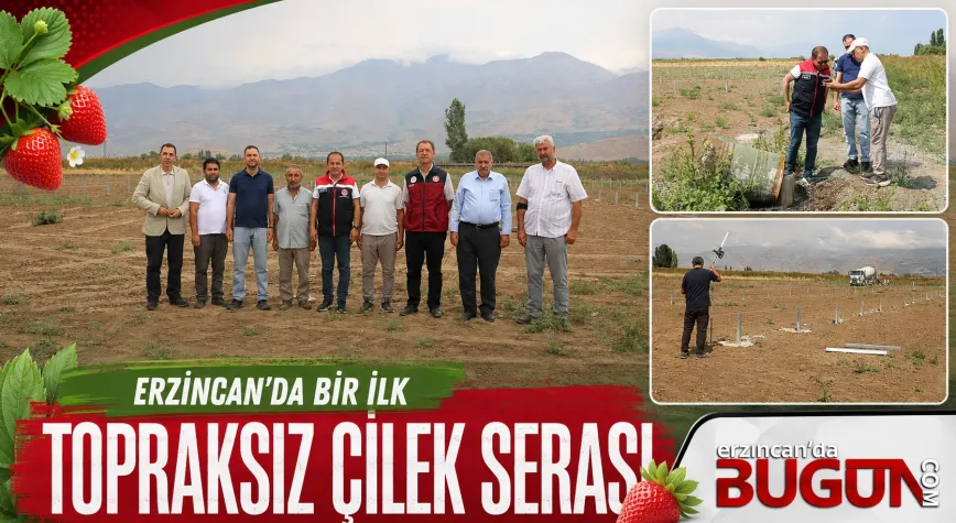 Erzincan’da Bir İlk: Topraksız Çilek Serası Kuruluyor
