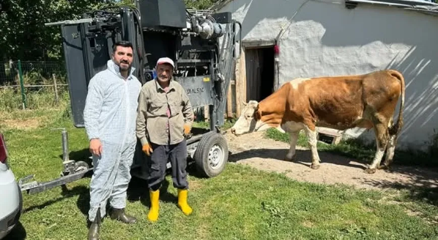 Erzincan’da Büyükbaş Hayvanlara Sağlık Desteği: Tırnak Bakımı Çalışmaları Sürüyor