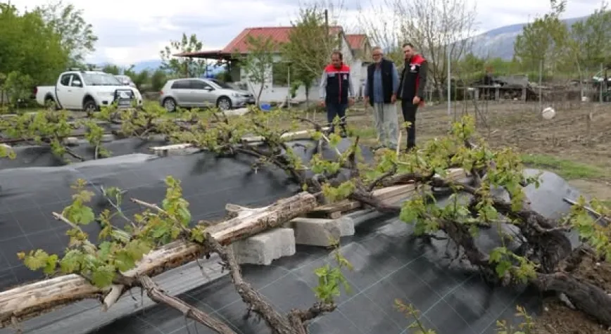 Erzincan’da Cimin Üzümü Sezonu Öncesi Üreticilerle Bir Araya Gelindi