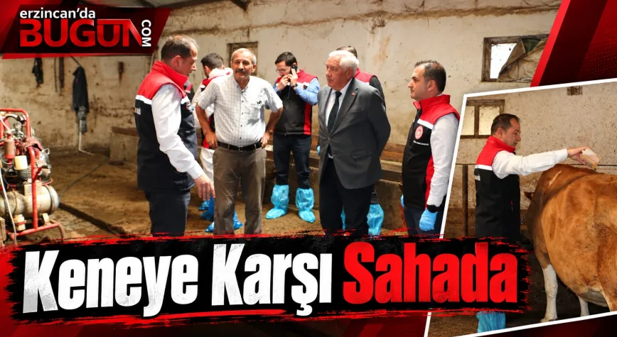 Erzincan’da Kene Mücadelesi Başladı: Hayvanlar Tek Tek Koruma Altına Alınıyor