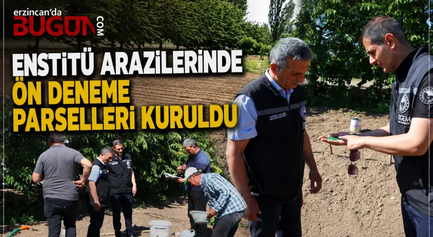 Erzincan’da Kırmızı Havuç ve Kırmızı Pancar İçin Deneme Parselleri Kuruldu