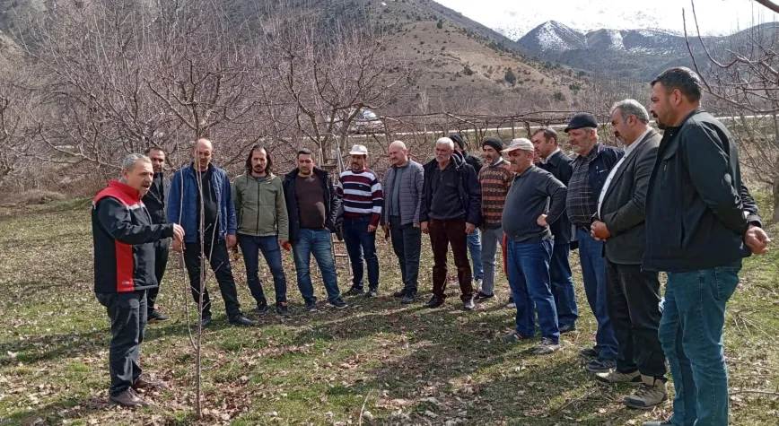 Erzincan’da Üreticiye Sahada Eğitim: Doğru Budama Verimi Artırıyor