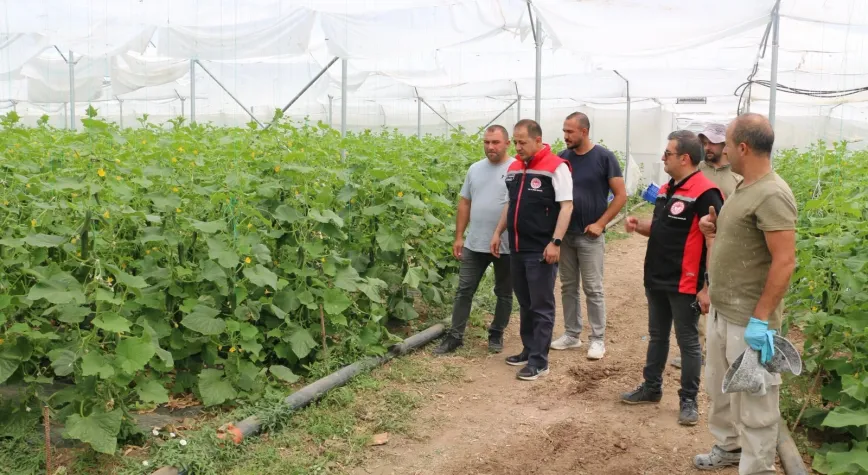 İl Müdürü Koçaker’den Seracılık İşletmesine Ziyaret: “Üretim ve Çeşitlilik Artıyor”