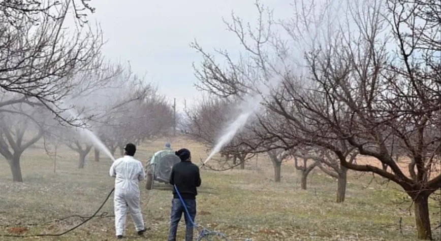 Kayısı Üreticisine Kritik Monilya Alarmı