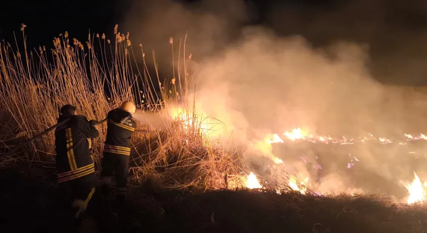 Kemah Yolu’nda Arazi Yangını Paniği: Ekipler Zamanında Müdahale Etti
