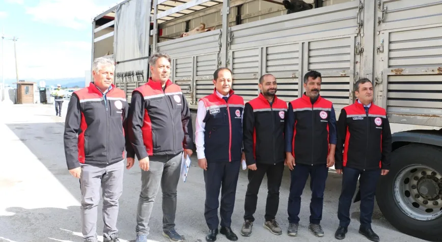Kurbanlık Hayvanlara Sıkı Takip: Erzincan’da Denetimler Artırıldı