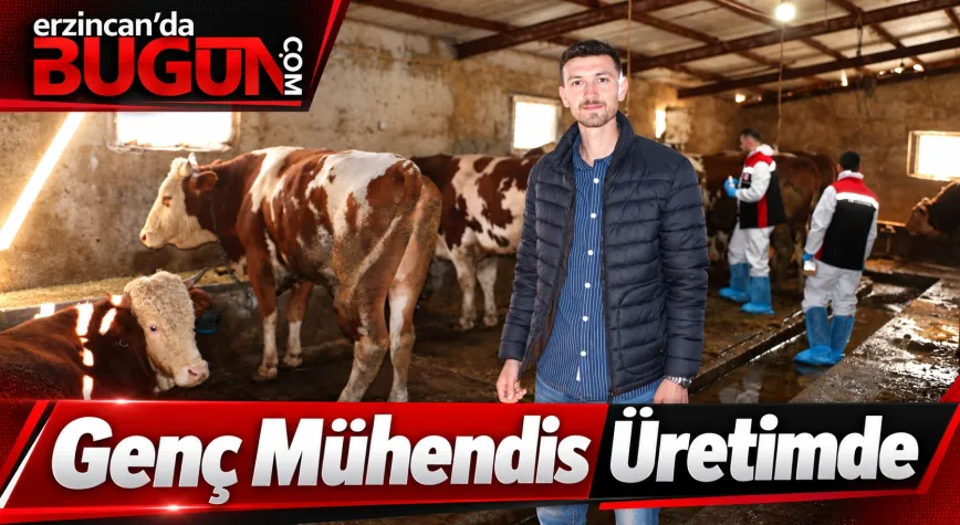 Mühendisliği Bıraktı, Köyünde Üretime Sarıldı: 170 Büyükbaşla Hayvancılık Yapıyor