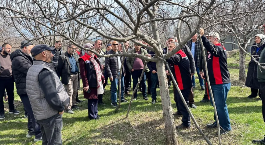 Üreticilere Uygulamalı Budama Eğitimi Düzenlendi