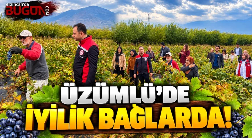 ÜZÜMLÜ’DE İYİLİK VAR HAREKETİ: ÖĞRENCİLER BAĞ BOZUMUNDA ÇİFTÇİLERE DESTEK OLDU