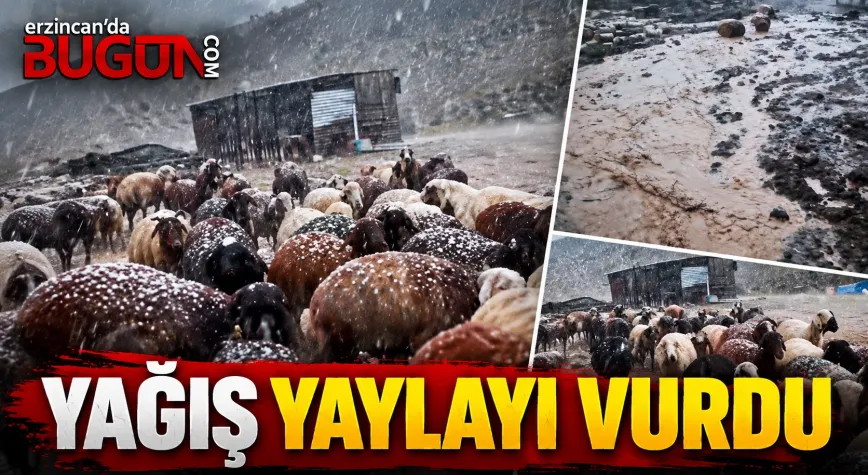 YAĞIŞ ŞEHRİ VURDU, YAYLADA HAYATI DURMA NOKTASINA GETİRDİ!
