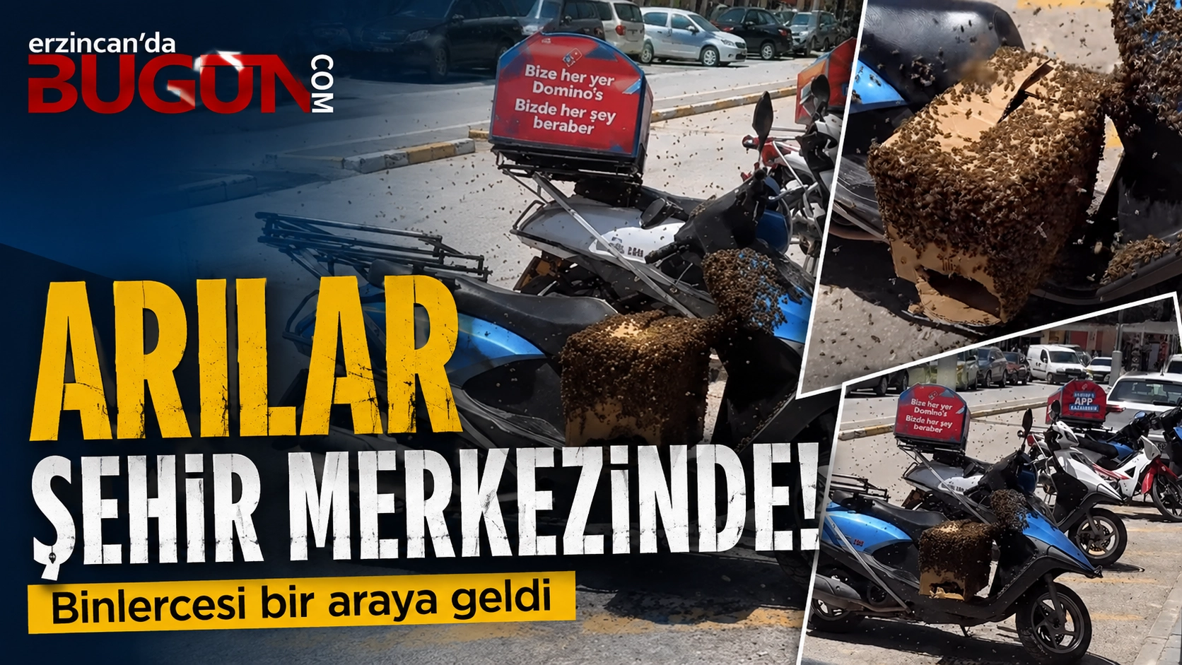 Benzer Haber
