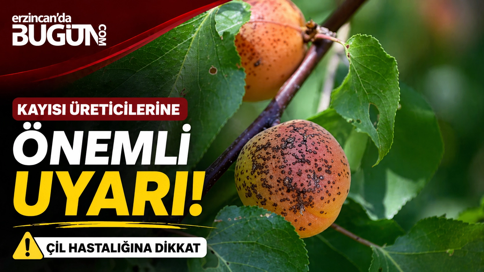İlgili Haber