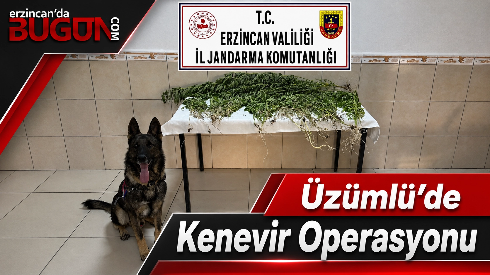 İlgili Haber