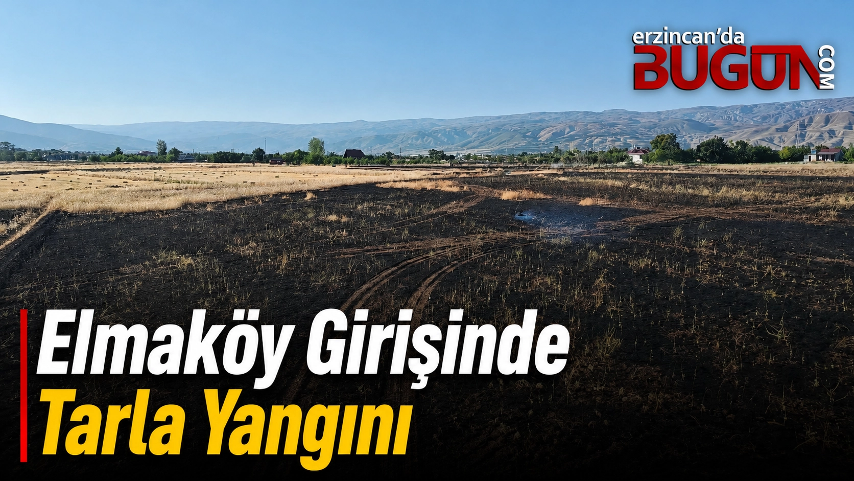 Benzer Haber