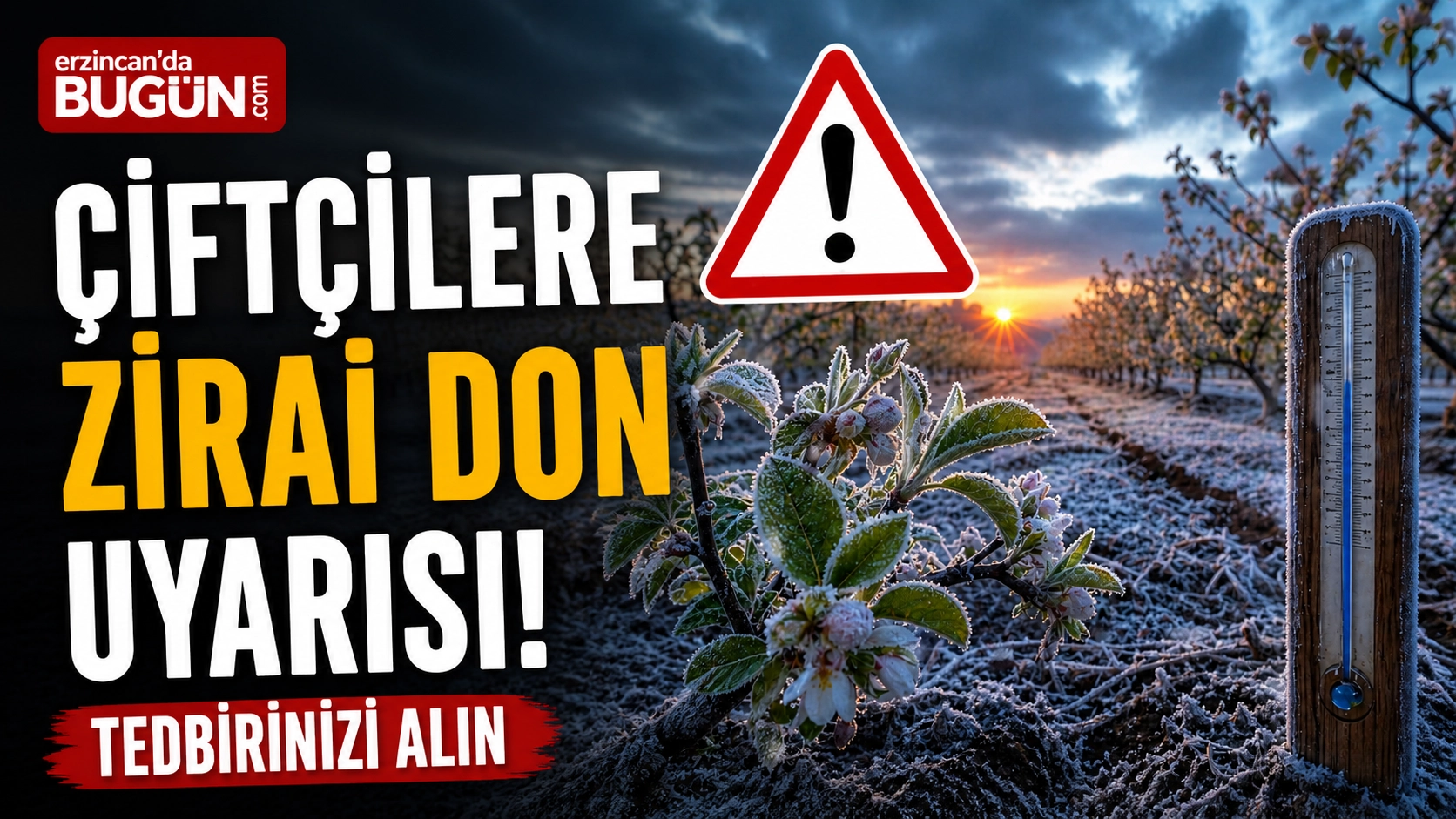 İlgili Haber
