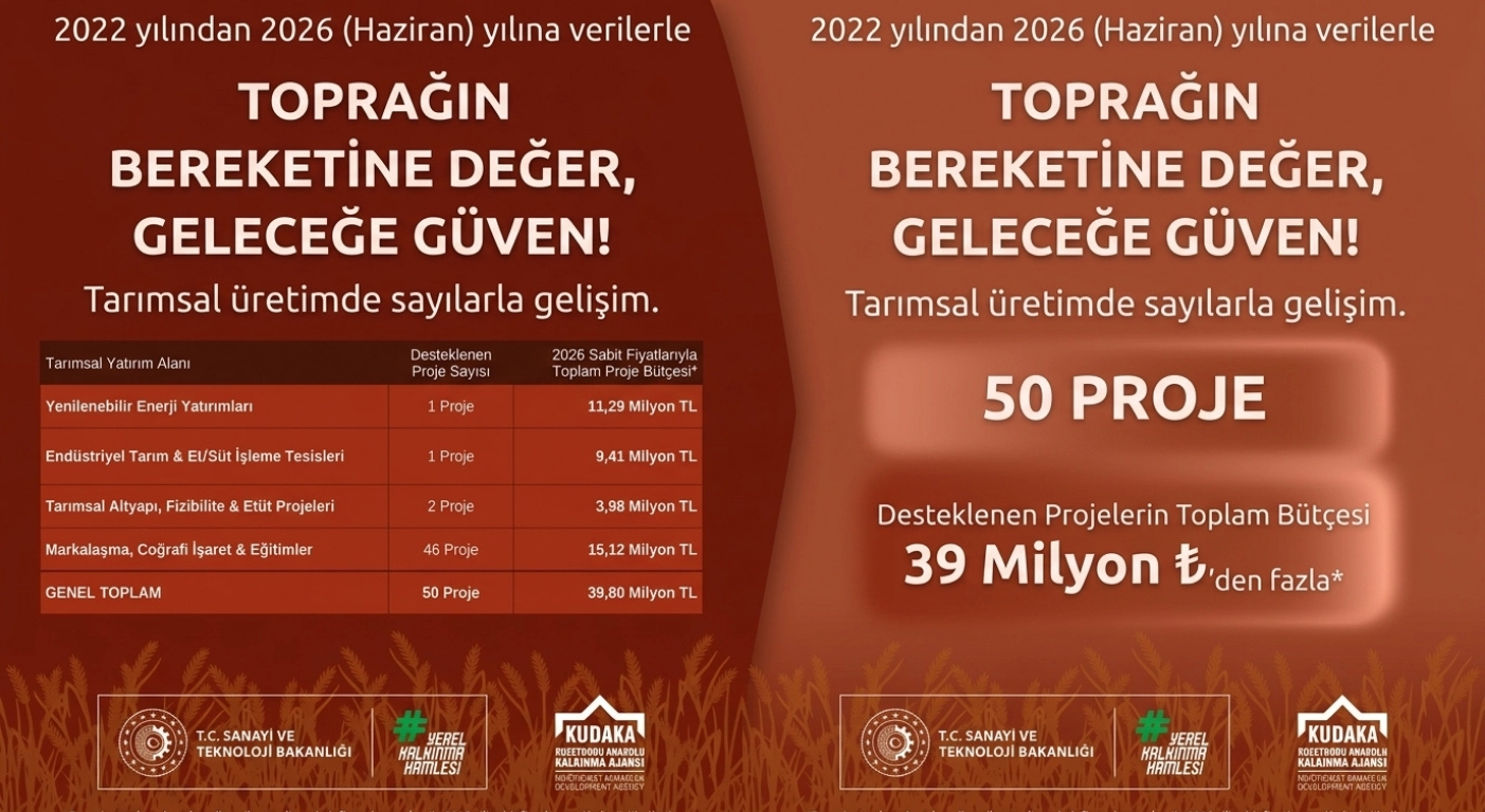 Benzer Haber