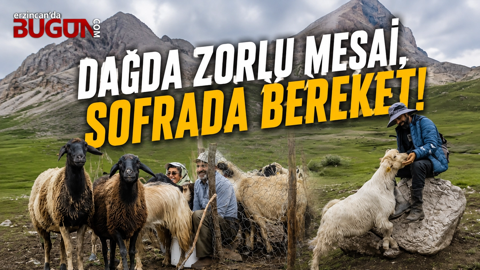 Benzer Haber