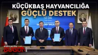 Haber Resmi