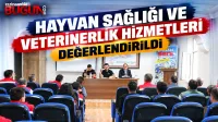 Haber Resmi