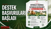 Haber Resmi