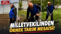 Haber Resmi